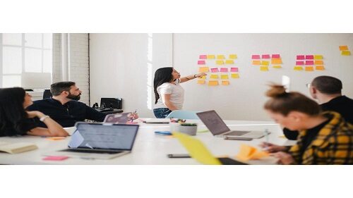 Skill-Building Workshops & Guest Sessions